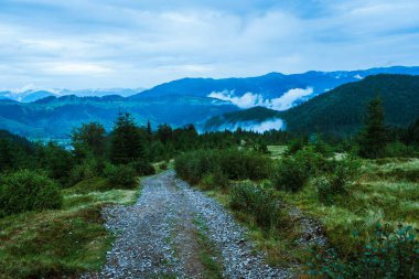 Güzel Karpat Dağları, yol, tepeler, orman, Ukrayna