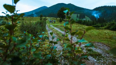 Güzel Karpat Dağları, yol, tepeler, orman, Ukrayna
