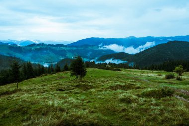 Güzel Karpat Dağları, yol, tepeler, orman, Ukrayna