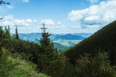 Güzel Karpat Dağları, yol, tepeler, orman, Ukrayna