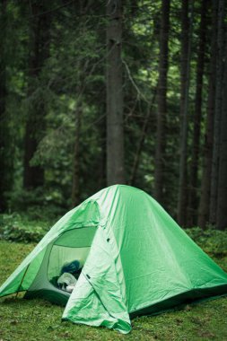 Güzel Karpat Dağları, yol, tepeler, orman, Ukrayna