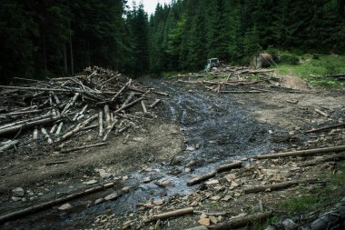 Güzel Karpat Dağları, yol, tepeler, orman, Ukrayna