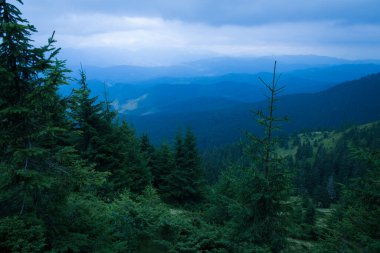 Güzel Karpat Dağları, yol, tepeler, orman, Ukrayna