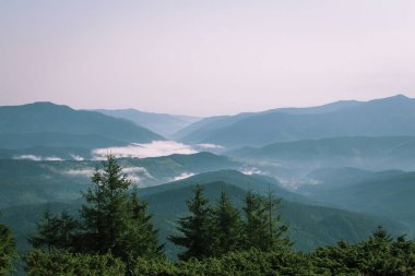 Güzel Karpat Dağları, yol, tepeler, orman, Ukrayna