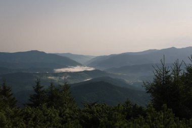 Güzel Karpat Dağları, yol, tepeler, orman, Ukrayna