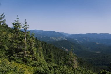 Güzel Karpat Dağları, yol, tepeler, orman, Ukrayna