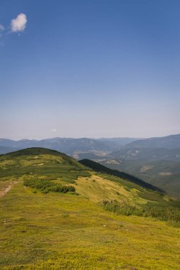 Güzel Karpat Dağları, yol, tepeler, orman, Ukrayna