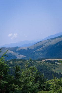 Güzel Karpat Dağları, yol, tepeler, orman, Ukrayna