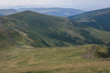 Güzel Karpat Dağları, yol, tepeler, orman, Ukrayna