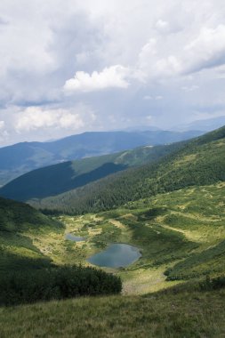 Güzel Karpat Dağları, yol, tepeler, orman, Ukrayna