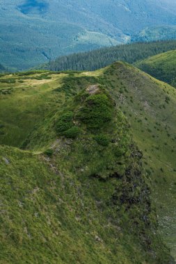 Güzel Karpat Dağları, yol, tepeler, orman, Ukrayna