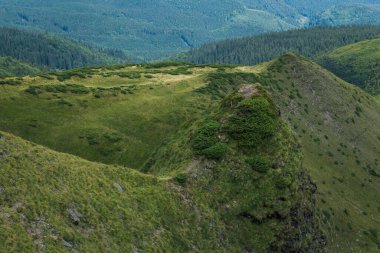 Güzel Karpat Dağları, yol, tepeler, orman, Ukrayna