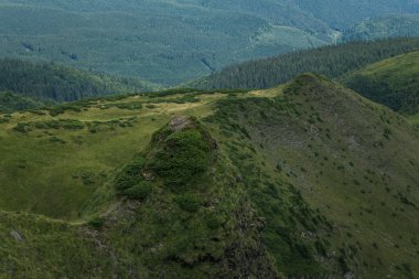 Güzel Karpat Dağları, yol, tepeler, orman, Ukrayna