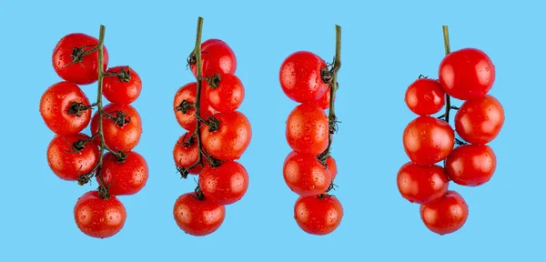 Ställ Massor Färska Röda Tomater Levitation Med Gröna Stjälkar Isolerade — Stockfoto