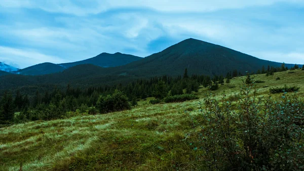 Schöne Karpaten Straße Hügel Wald Ukrainene — Stockfoto