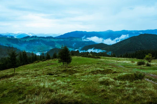 Güzel Karpat Dağları, yol, tepeler, orman, Ukrayna