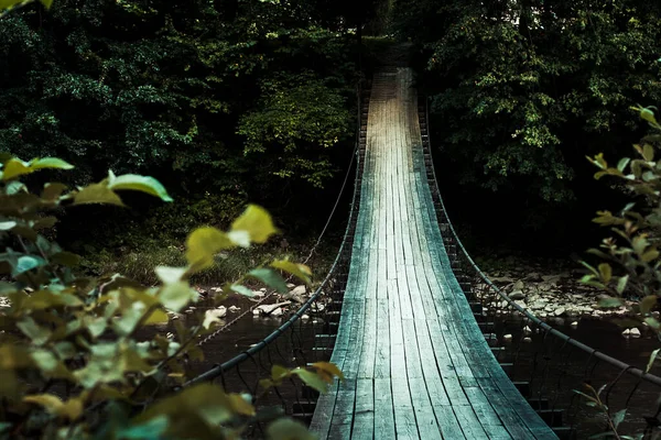 Schöne Karpaten Straße Hügel Wald Ukrainene — Stockfoto