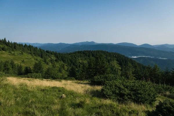 Güzel Karpat Dağları, yol, tepeler, orman, Ukrayna
