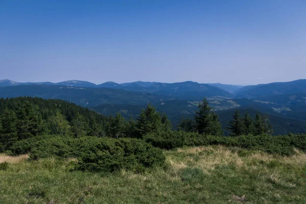 Güzel Karpat Dağları, yol, tepeler, orman, Ukrayna