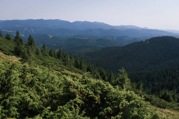 Güzel Karpat Dağları, yol, tepeler, orman, Ukrayna