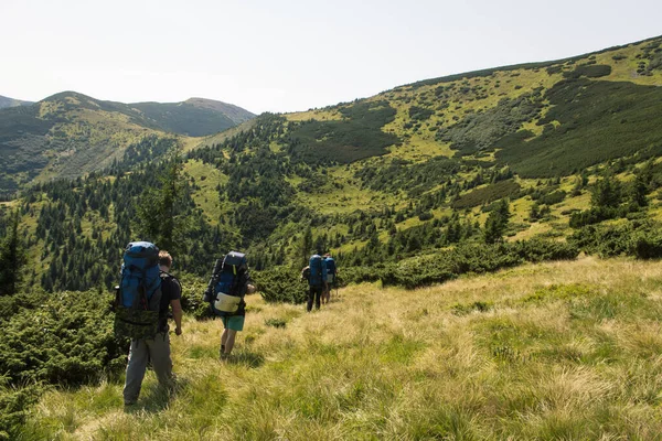 Güzel Karpat Dağları, yol, tepeler, orman, Ukrayna