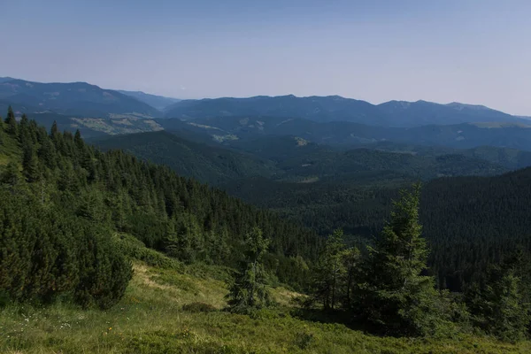 Güzel Karpat Dağları, yol, tepeler, orman, Ukrayna
