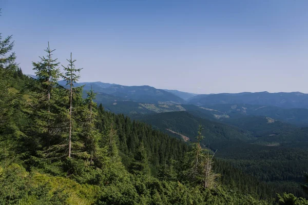 Güzel Karpat Dağları, yol, tepeler, orman, Ukrayna