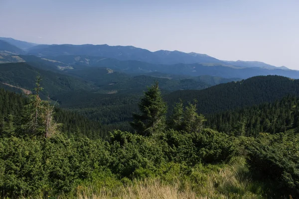 Piękne Góry Karpackie Droga Wzgórza Las Ukrainene — Zdjęcie stockowe