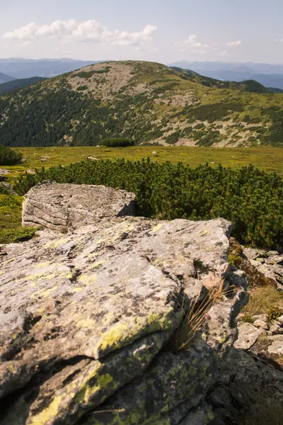 Güzel Karpat Dağları, yol, tepeler, orman, Ukrayna