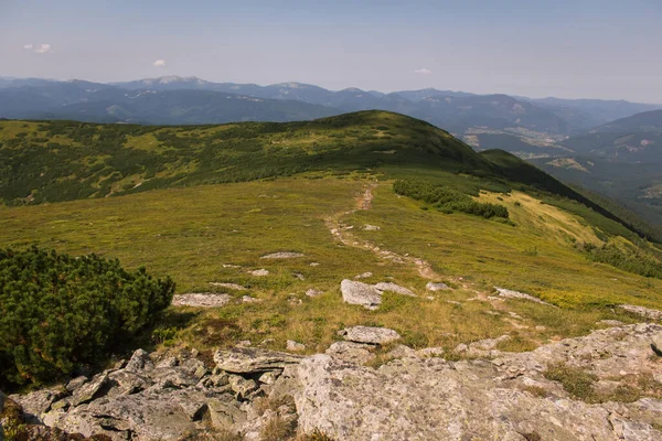 Красиві Карпатські Гори Дорога Пагорби Ліс Україна — стокове фото