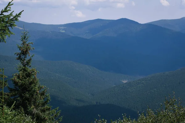 Güzel Karpat Dağları, yol, tepeler, orman, Ukrayna