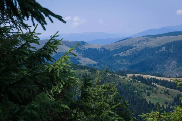 Güzel Karpat Dağları, yol, tepeler, orman, Ukrayna