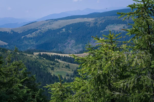 Güzel Karpat Dağları, yol, tepeler, orman, Ukrayna
