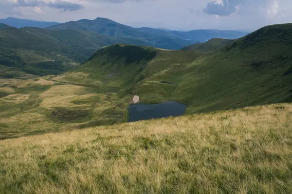 Güzel Karpat Dağları, yol, tepeler, orman, Ukrayna