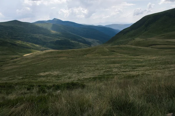Güzel Karpat Dağları, yol, tepeler, orman, Ukrayna
