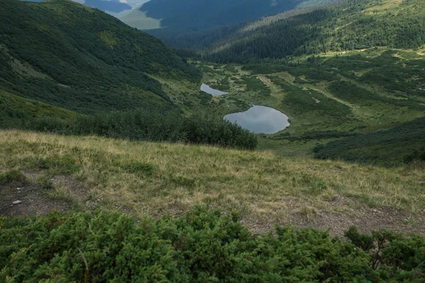 Güzel Karpat Dağları, yol, tepeler, orman, Ukrayna