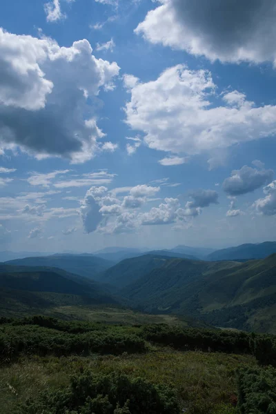 Güzel Karpat Dağları, yol, tepeler, orman, Ukrayna