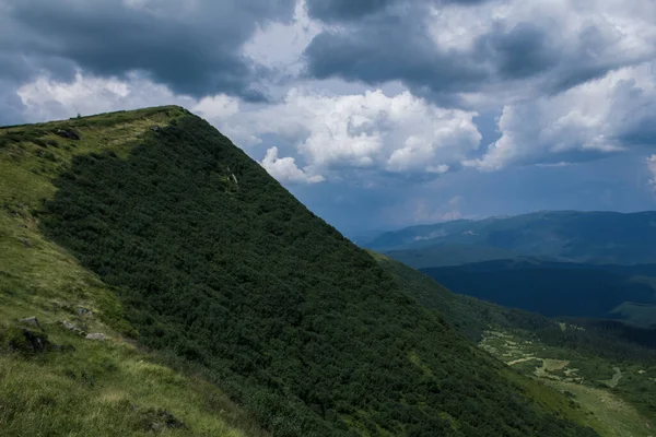 Güzel Karpat Dağları, yol, tepeler, orman, Ukrayna