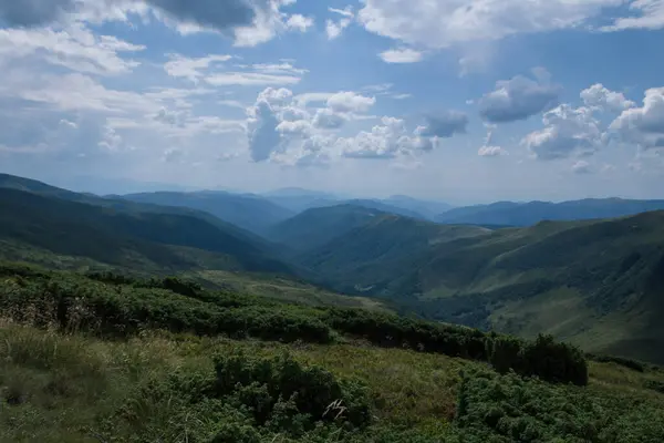 Güzel Karpat Dağları, yol, tepeler, orman, Ukrayna