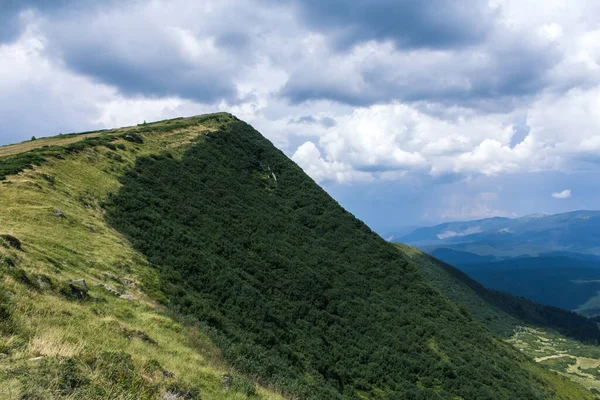 Güzel Karpat Dağları, yol, tepeler, orman, Ukrayna