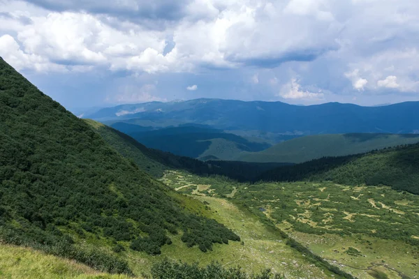 Красиві Карпатські Гори Дорога Пагорби Ліс Україна — стокове фото