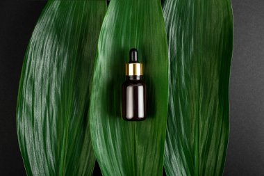 Yeşil tropikal yapraklı, kahverengi pipetli cam şişeyi kapat. Cilt ve saç bakımı için Aromatik Kozmetik Ürün Nemlendirici Güzellik Ürünü. Model konsepti.