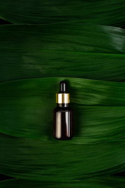 Yeşil tropikal yapraklı, kahverengi pipetli cam şişeyi kapat. Cilt ve saç bakımı için Aromatik Kozmetik Ürün Nemlendirici Güzellik Ürünü. Model konsepti.