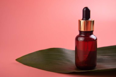 Yeşil tropikal yapraklı yeşil arka planda gerekli yağlı pipetli cam kahverengi şişe. Cilt ve saç bakımı için Aromatik Kozmetik Ürünler Organik ürünlerle Güzellik Ürünlerini Nemlendirir.