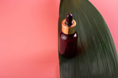 Yeşil tropikal yapraklı yeşil arka planda gerekli yağlı pipetli cam kahverengi şişe. Cilt ve saç bakımı için Aromatik Kozmetik Ürünler Organik ürünlerle Güzellik Ürünlerini Nemlendirir 