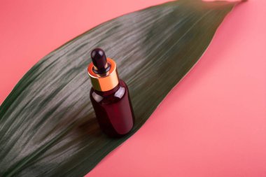 Yeşil tropikal yapraklı yeşil arka planda gerekli yağlı pipetli cam kahverengi şişe. Cilt ve saç bakımı için Aromatik Kozmetik Ürünler Organik ürünlerle Güzellik Ürünlerini Nemlendirir 