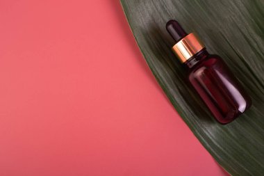Yeşil tropikal yapraklı yeşil arka planda gerekli yağlı pipetli cam kahverengi şişe. Cilt ve saç bakımı için Aromatik Kozmetik Ürünler Organik ürünlerle Güzellik Ürünlerini Nemlendirir.