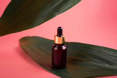 Yeşil tropikal yapraklı yeşil arka planda gerekli yağlı pipetli cam kahverengi şişe. Cilt ve saç bakımı için Aromatik Kozmetik Ürünler Organik ürünlerle Güzellik Ürünlerini Nemlendirir.
