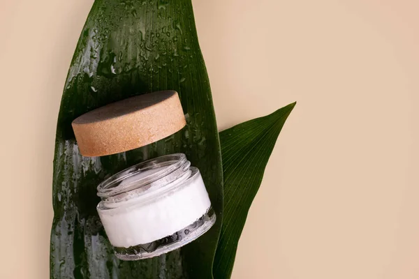 White cream in open jar top view with decorative green foliage. Organic cosmetics skincare product with natural ingredients on beige background with plant twigs. Eco-friendly beauty industry concept
