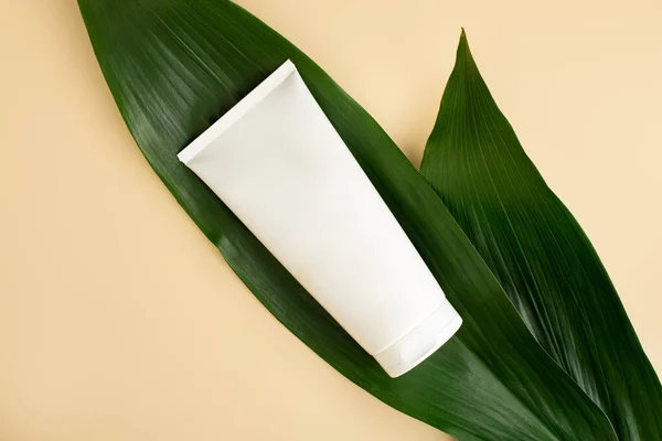 White Cream Open Tube Top View Decorative Green Foliage Organic — Stockfoto